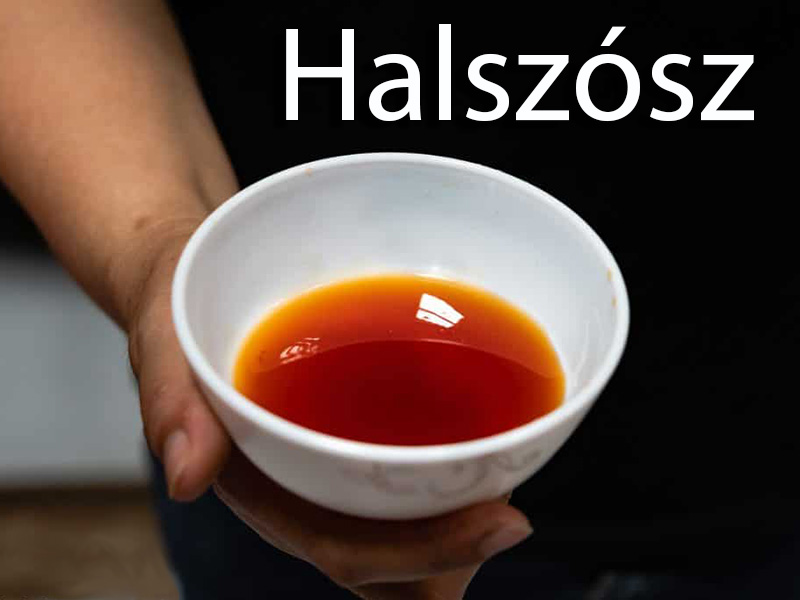 Halszósz